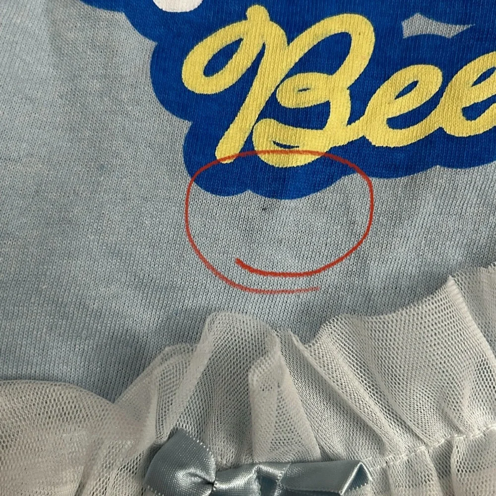 Queen Bee Light Blue Dog Puppy TShirt Dress with Tutu - Size Medium